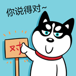 哈小齐