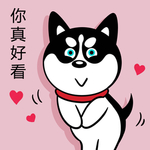 哈小齐