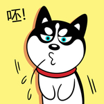 哈小齐