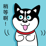 哈小齐