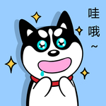 哈小齐
