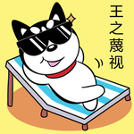 哈小齐