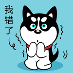 哈小齐