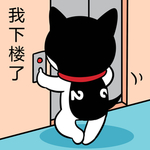 哈小齐
