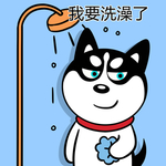 哈小齐