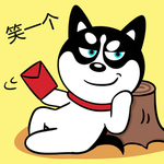 哈小齐