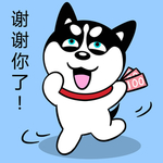 哈小齐