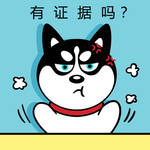 哈小齐