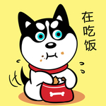 哈小齐