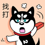 哈小齐
