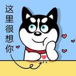 哈小齐