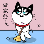 哈小齐