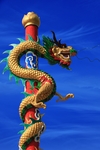 龙图腾