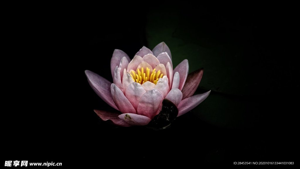 拍摄素材