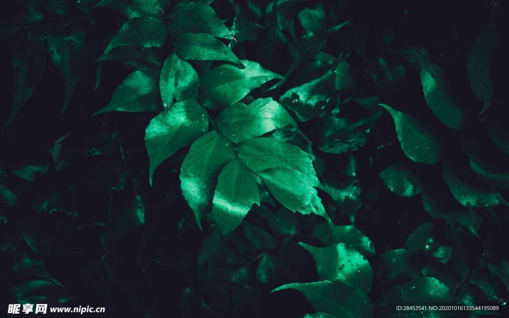 拍摄素材