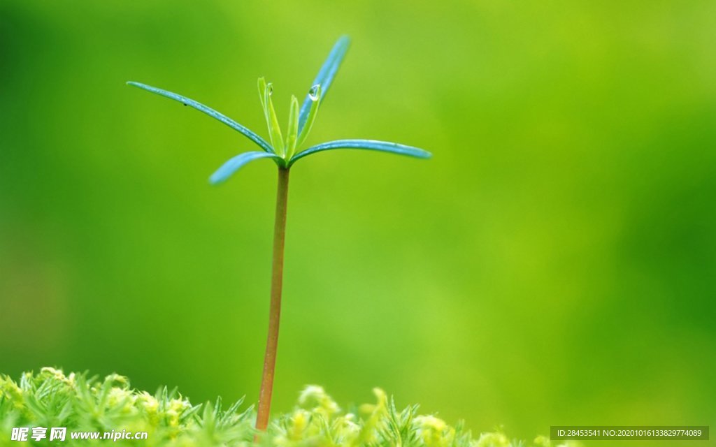 拍摄素材