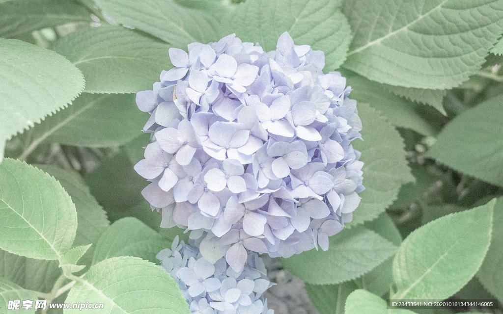拍摄素材