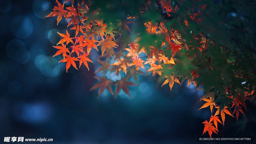 拍摄素材