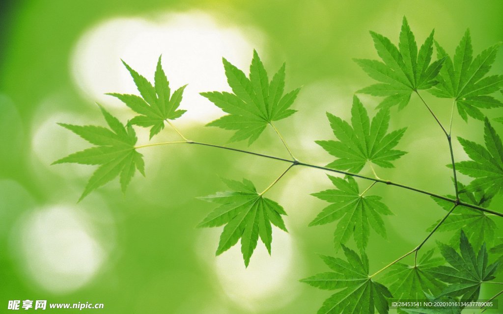 拍摄素材