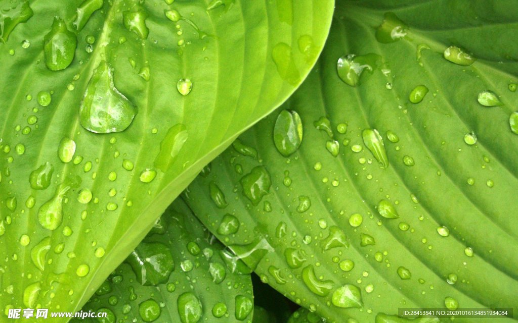 拍摄素材