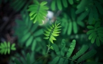 拍摄素材