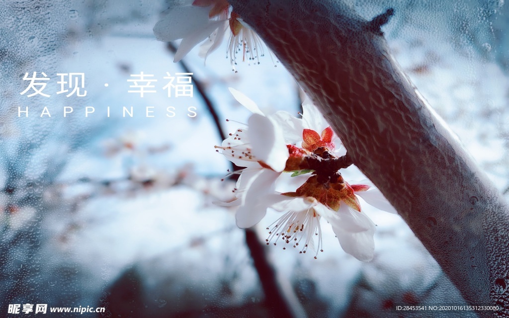拍摄素材