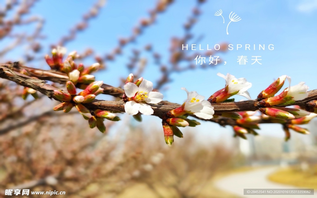 拍摄素材