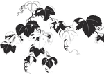 雕花图  中式雕花 西式雕花