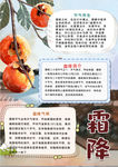 秋天小报