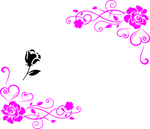 花纹