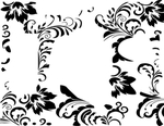 花纹