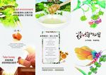 三折页模板
