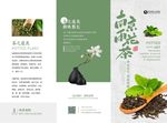 三折页模板