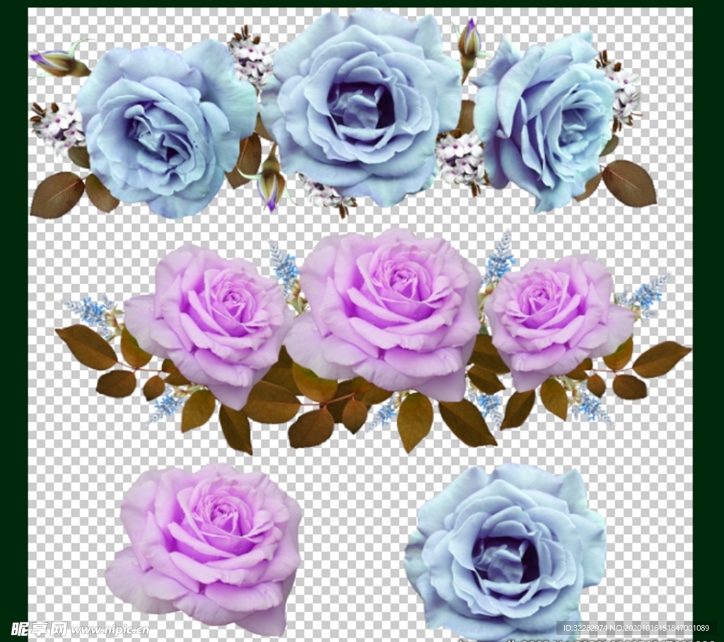 玫瑰花图片
