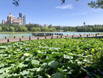 宁夏典农河