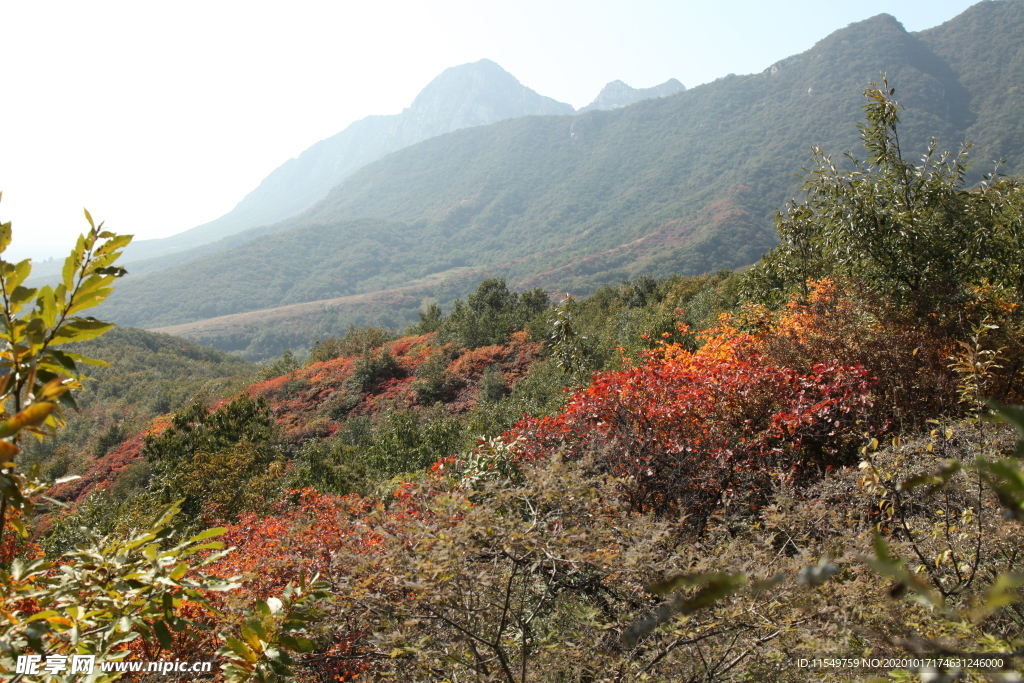 嵩山秋景