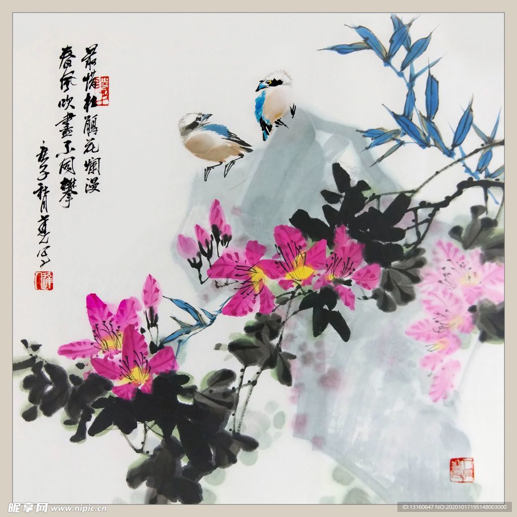 二十四节气之清明-杜鹃_李达人