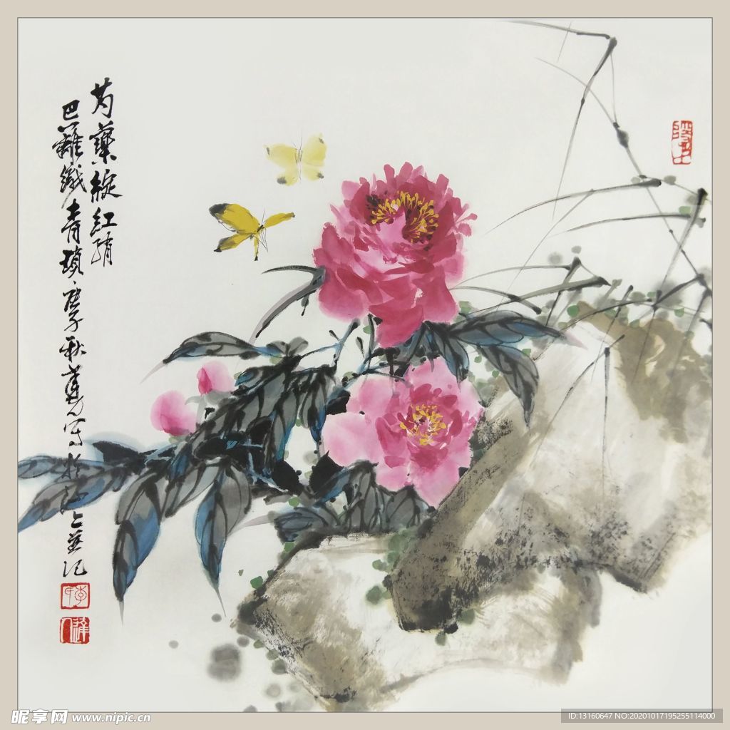 二十四节气之夏至-芍药_李达人
