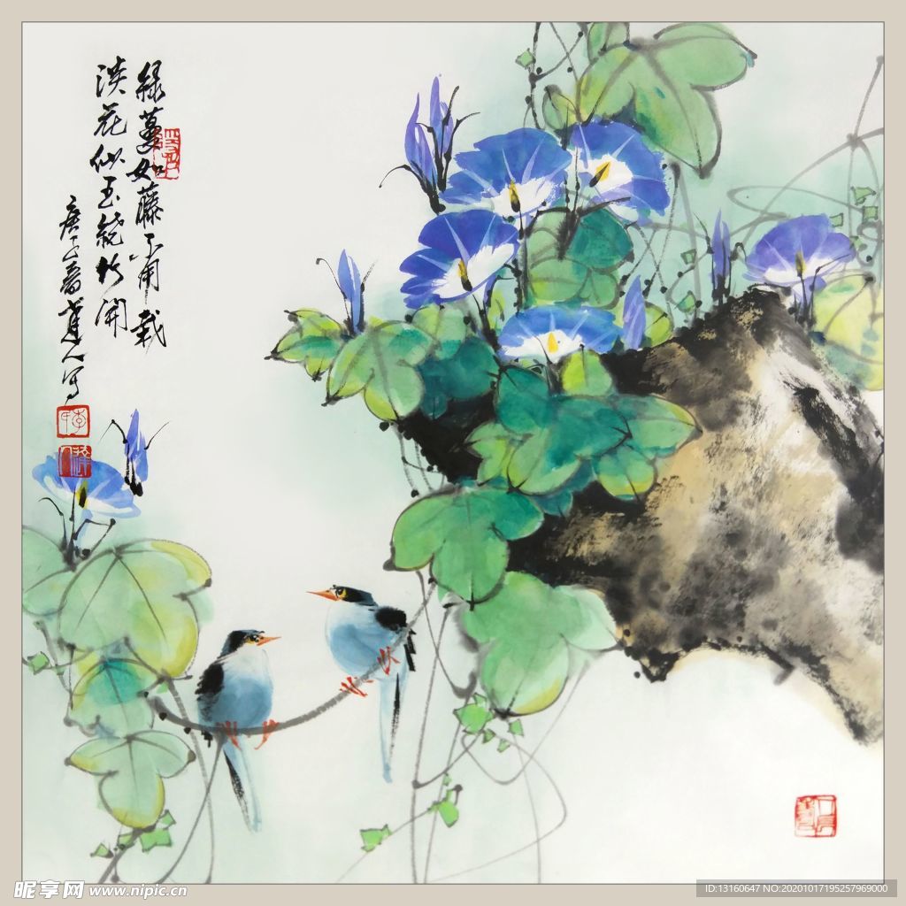 二十四节气之立秋-牵牛_李达人