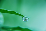 水珠