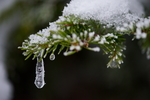 雪霜冰