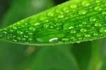 水滴