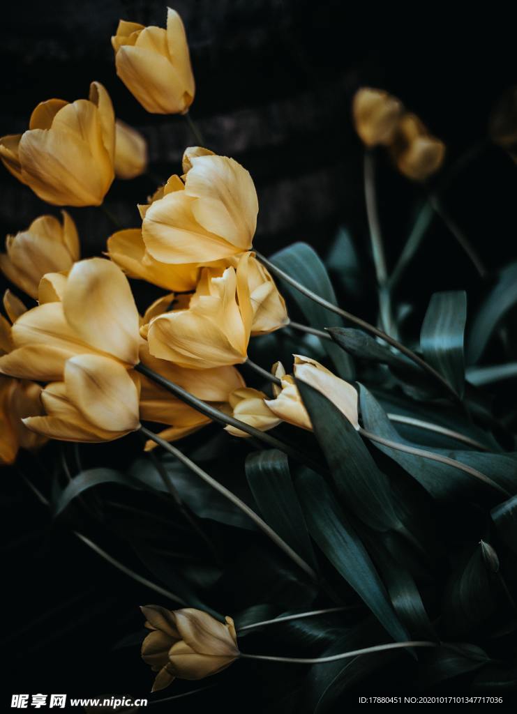 花卉
