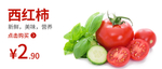 番茄  西红柿 食品海报 蔬菜