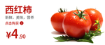 西红柿 食品海报 蔬菜