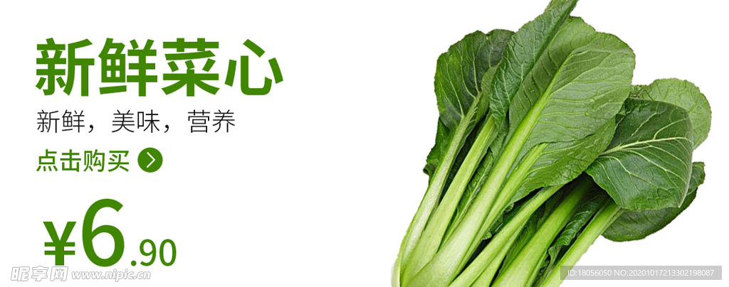 菜心 食品海报 蔬菜 蔬菜海报