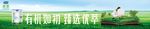 君乐宝优萃奶粉围板