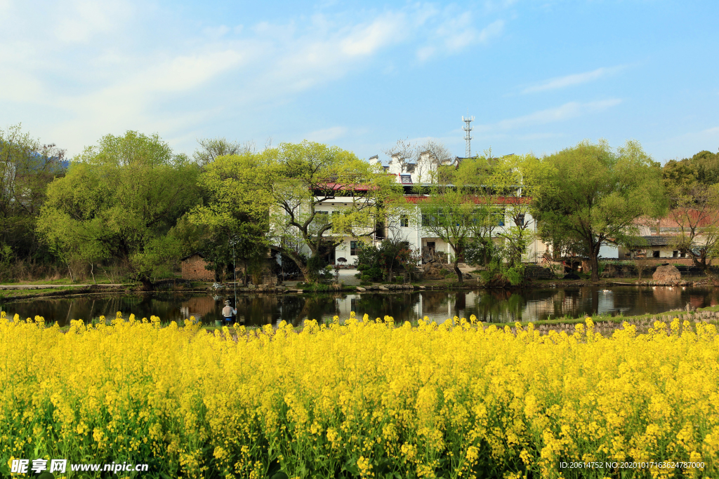 美丽的乡村风景