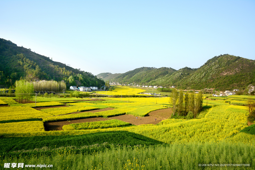 美丽的乡村风景