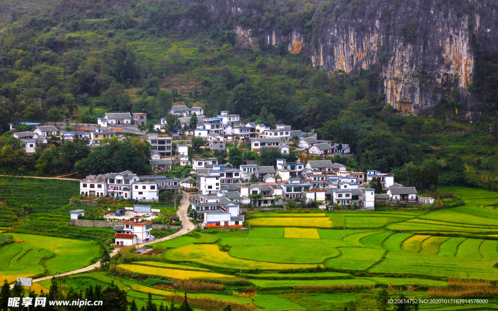 美丽的乡村风景